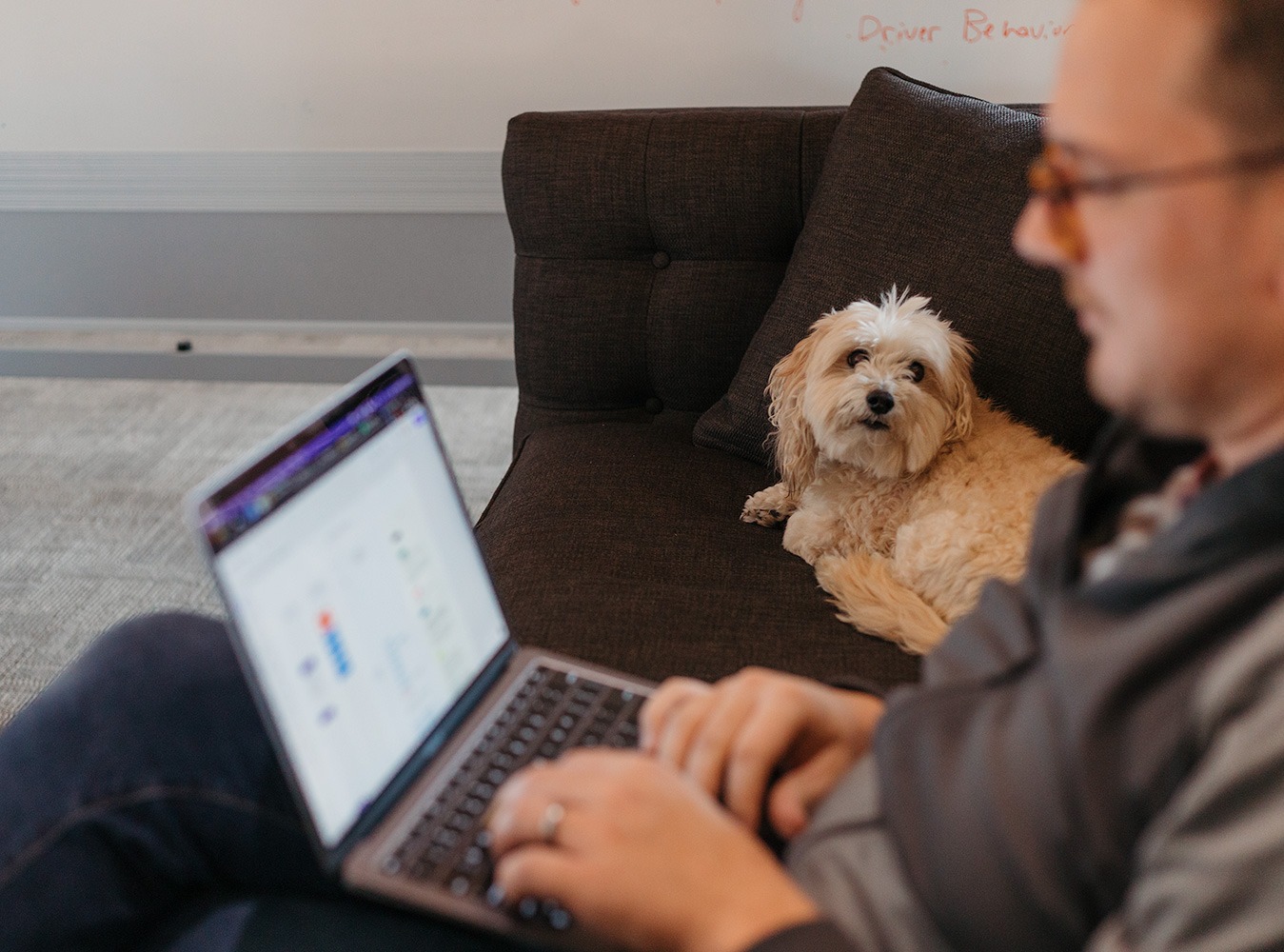 Jay working in a laptop with a furry friend next to him