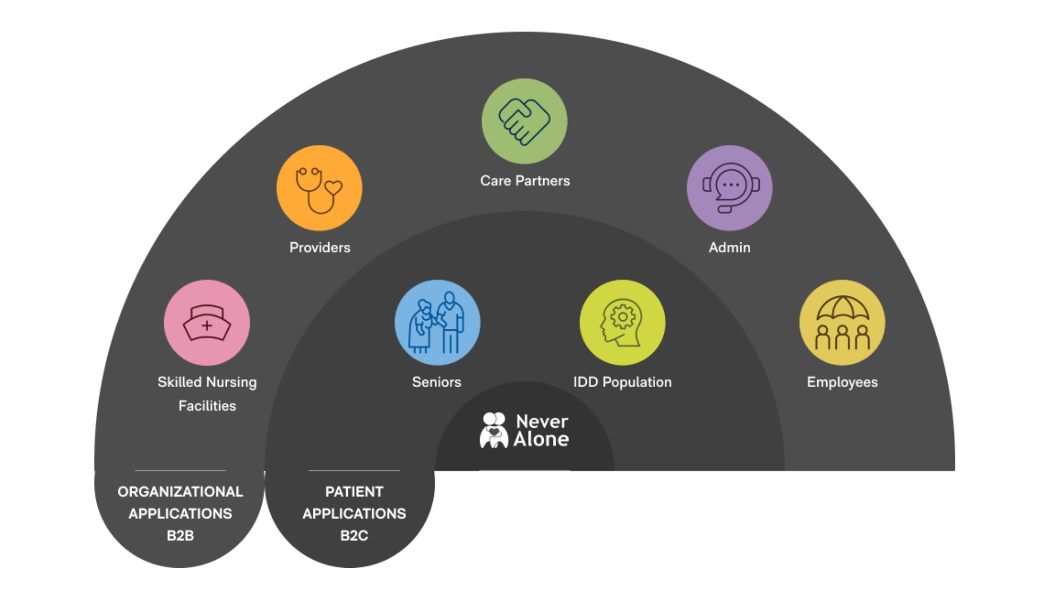 custom healthcare platform ecosystem illustration